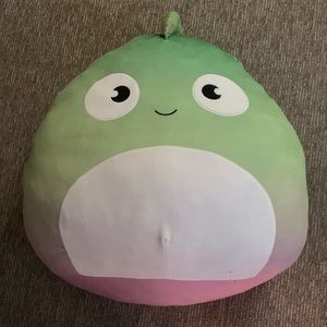 24” Costco Chameleon - Denton